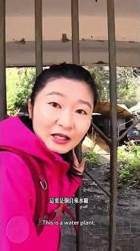 踏入被時間遺忘的平行世界：370年煤礦「小香港」的無聲告別