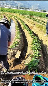 Clearing irrigation ditch for crops! 💧