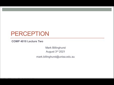 COMP 4010 Lecture2 Perception