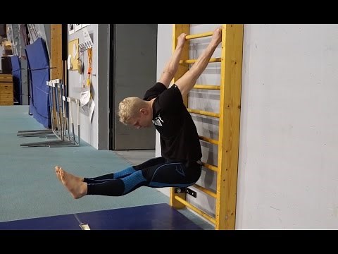 Stall Bar Exercises for Mobility and Flexibility