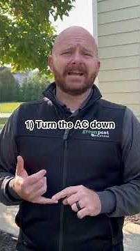 [SAVE THIS] What to do if wasps get inside your house