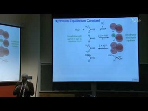 28. Mechanism and Equilibrium of Carbonyl Reactions