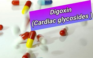 Digoxin - Mechanism of Action, Indications, and Side Effects 地高辛的作用机制、适应症及副作用