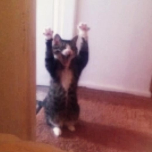 Emma's Myspace Edits: A Nostalgic Journey