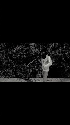 The Best Viral Comedy Vlog Moments