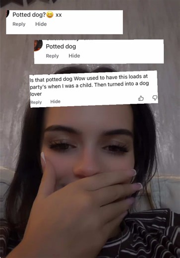 Potted Meat or Potted Dog? Let's Rate It!