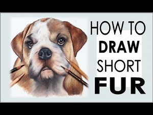 How to Draw SHORT FUR | Step-By-Step Tutorial