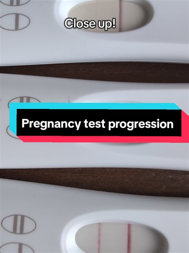 Bibs and Breakdowns on TikTok