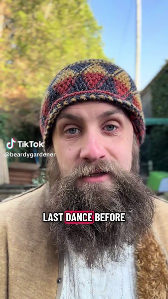 Garden Dancing Memories: A Lockdown Journey