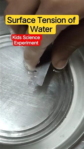 Surface Tension of 💦Water 💦💦 Kids 👶🏻👦🏻👧🏻 Science Experiment 🧬🔬❓#egrajlhs #kidsscience #science
