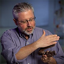 Activity for The Origin of Tetrapods