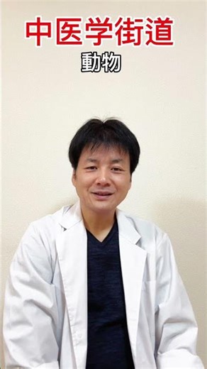 Looking at animals and thinking about health