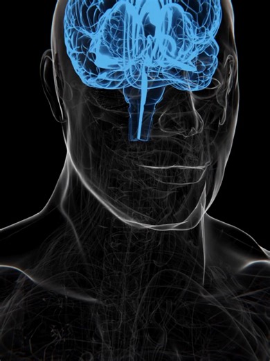 Doença de Huntington_ Por que a Impulsividade Acontece_ _ Dr Diego de Castro Neurologista #DoençaDeHuntington #CoreiaDeHuntington #Neuro #Neurologia #DrDiegoDeCastro