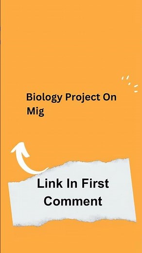 Biology Project On Migratory Birds Of Maharashtra For Class 12 Science