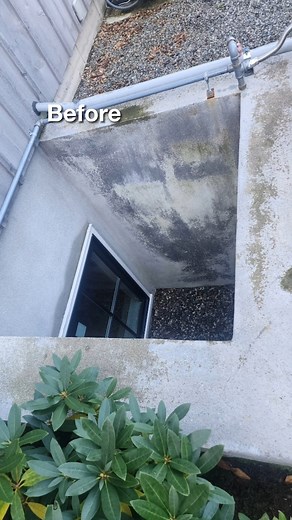 Transforming basements, one cover at a time! Our latest project showcases the incredible before-and-after of our Basement Cover makeover. From dark and cluttered to bright and functional, watch the magic unfold. Get inspired to elevate your space! Book Us Now: https://www.acehandymanservices.com/offices/fairfield-and-new-haven#BookOnlineLink Phone: 475-209-9700 | 475-209-9701 Email: orange@acehandymanservices.com Address: 233 Boston Post Road, Orange, CT, 06477 Website: https://www.acehandymanse