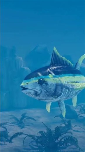 How Do Fish Breathe Underwater? | Fish Respiratory System Explained (3D Animation)