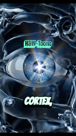 The Science of Seeing:How our Eyes work. #ScienceOfSight #HowWeSee #HumanBiology #EyeHealth