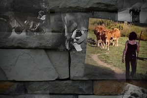 « Moi, agricultrice », sur LCP-AN : le long combat pour conquérir une existence légale