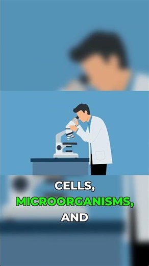 Microscope Reveals Hidden World 🔬 #science #biology #discovery
