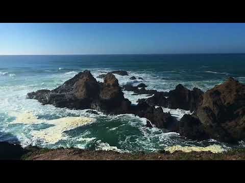 duster - familiar fields (official video)