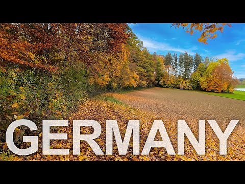 Walking in German Countryside + Forest in Autumn [4K]