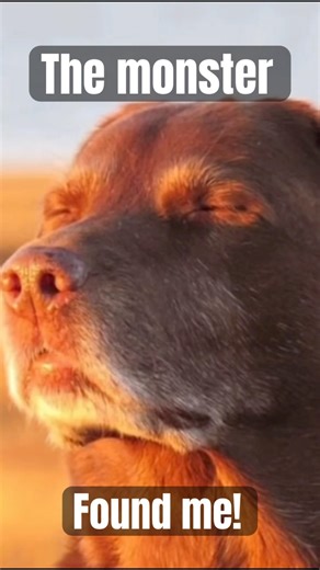 Hide and seek with a monster! #comedy #horror