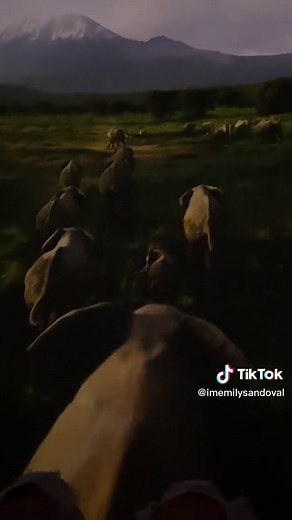 Soarin around the World Full Ride at Epcot | Disney World Adventure