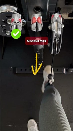 ✨Cable Kickbacks Variations Explained