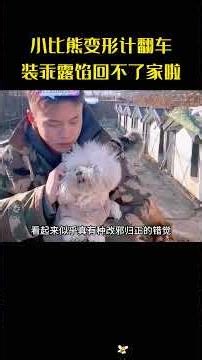 家裡小霸王誤入改造營，暴露本性後回家徹底泡湯！