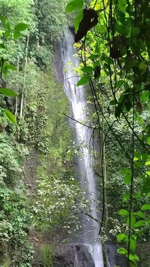 dónde el alma descansa Alcalá valle del cauca 🇨🇴🇨🇴