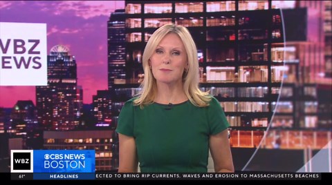 Invasive moth species tearing through popular plants on Cape Cod