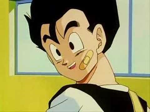 At the Beginning- Gohan & Videl