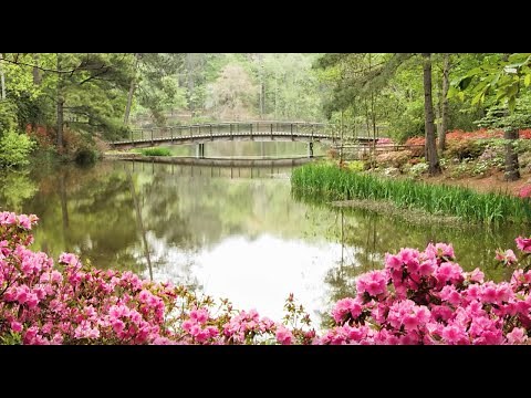 Gaither Instrumentals [Piano] - Joy Comes In The Morning by Stan Whitmire