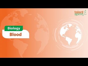 Blood and Its Role in the Body Video Lecture | Crash Course for SSC CHSL