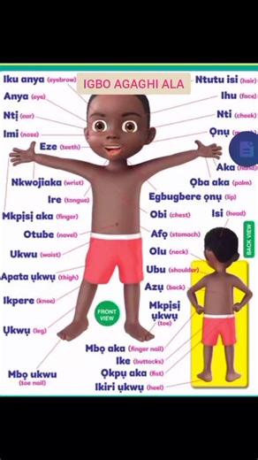 130K views · 2K reactions | PARTS OF THE BODY IN IGBO LANGUAGE | Igbo agaghi àlà | Facebook