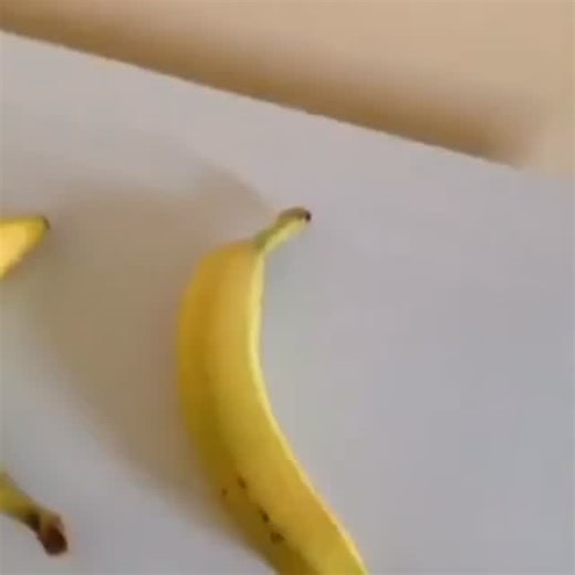 Meme Archive on Instagram: "It’s a BANANANA next to a BANANANA (2013)"