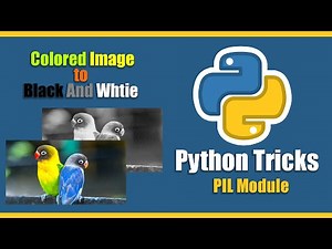 Convert Colored Image to Black and White in python | PIL module