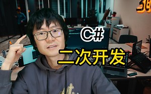 C#二次开发