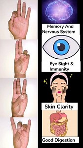 627K views · 6.3K reactions | 4 Best Effective Mudras ✅ For Brain , Memory Eye Sight, Immunity Skin Clarity & Good Digestion Sourav Yoga Memory, nervous system, eye sight, immunity, skin clarity, fluidity, digestion, detoxifies, yogmudra, Heals, Healthy, Boost Energy #yoga #yoga #yogaheals #healthylifestyle #reels #trending #panchbhootyog #acupressure #health #face #beauty #memories #brainhealth #eyesight #digestion #health #reels #explorepage | Sourav Yoga | Facebook