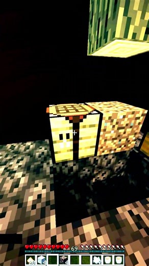 -1 braincell per netherrack generated #Hellblock #minecraft #gaming #memes