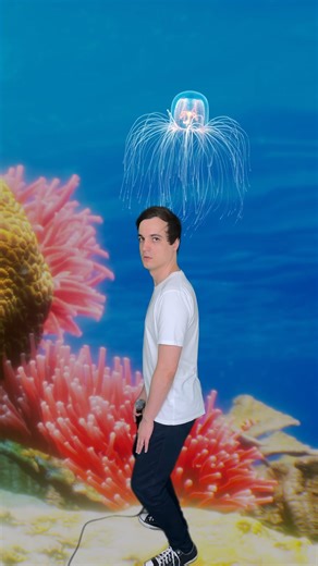 Matt Storer | Respawn, repeat 🪼 #fyp #comedy #music #edutainment #biology | Instagram