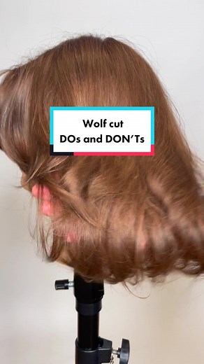 Brad Mondo on TikTok