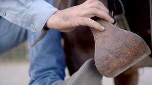 You can now watch the entire first episode of Horse Boss right here on the Horse.TV Facebook page! To watch more full episodes, head over to www.Horse.TV or log in via our mobile app! | Horse.TV