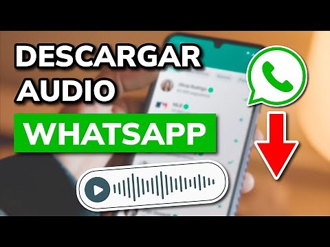 🔊 Cómo DESCARGAR AUDIO de WHATSAPP en PC (y Hacerlo Compatible)