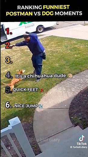RANKING POSTMAN VS DOG FUNNIEST MOMENTS
