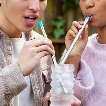 LifeStraw Sip Reusable Steel Filter Straw with carry case