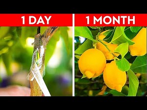 25 Simple Gardening Tips You Need to Know || Useful Hacks to Grow Plants by 5-Minute DECOR!
