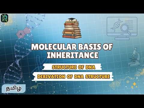 Molecular Basis of Inheritance | Structure of DNA & its derivation | NEET | Class 12 | Tamil | NCERT