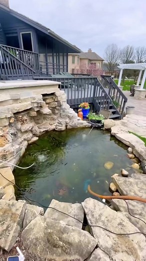 In honor of spring cleanout season coming, this is an epic transformation 😍 #team #aquascape #cleanout #clean #timelapse #powerwashing #pond #transformation | Team Aquascape