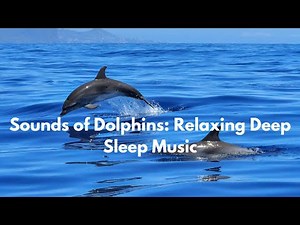Sounds of Dolphins: Relaxing Deep Sleep Music